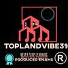 toplandvibe